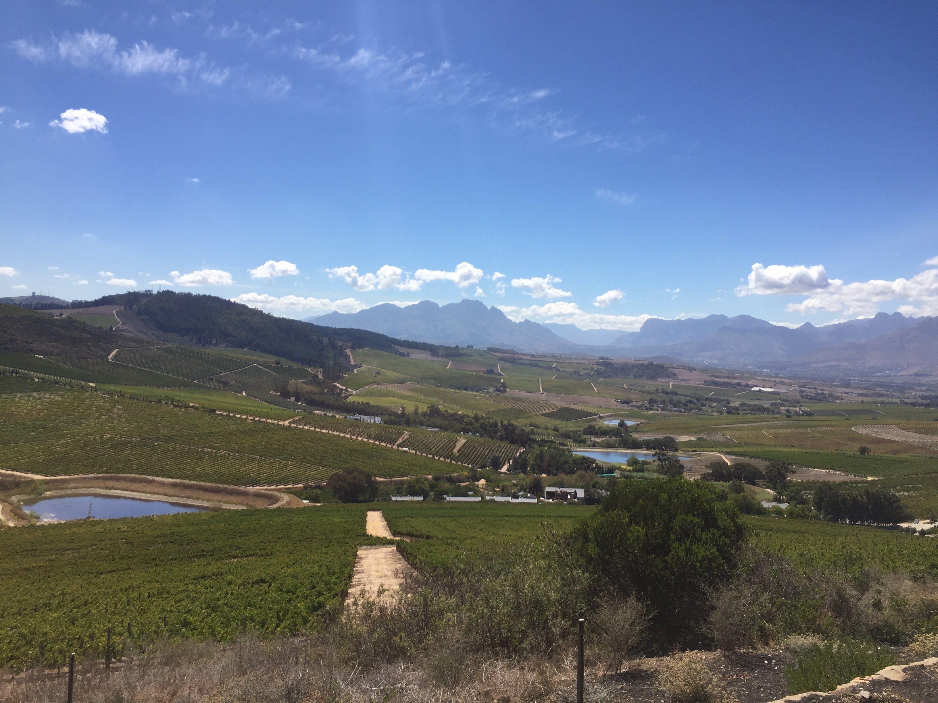 Dag 5 - Jordan en Raats