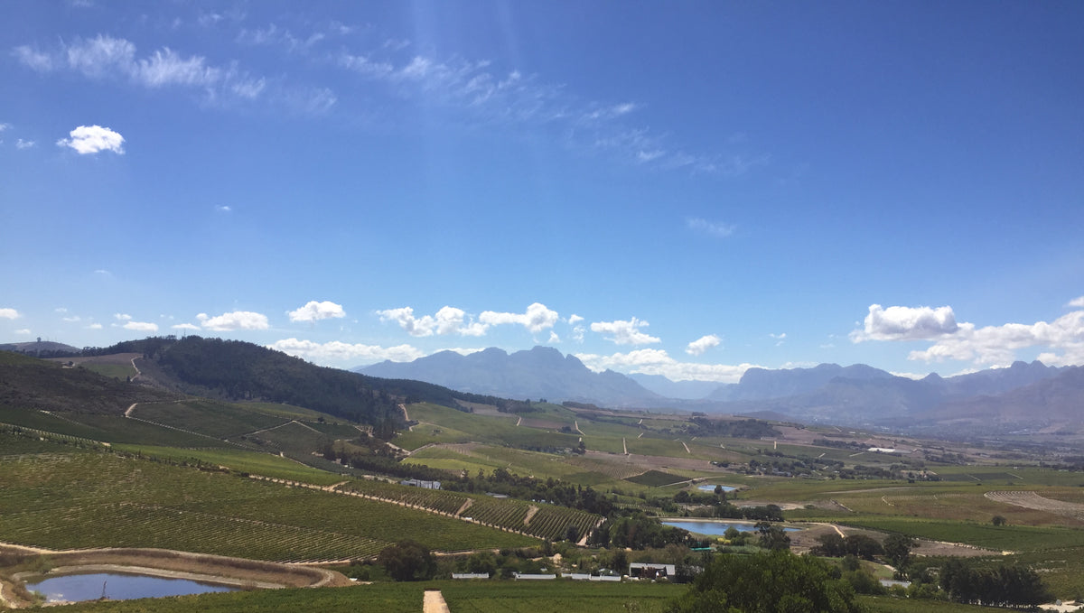 Dag 5 - Jordan en Raats