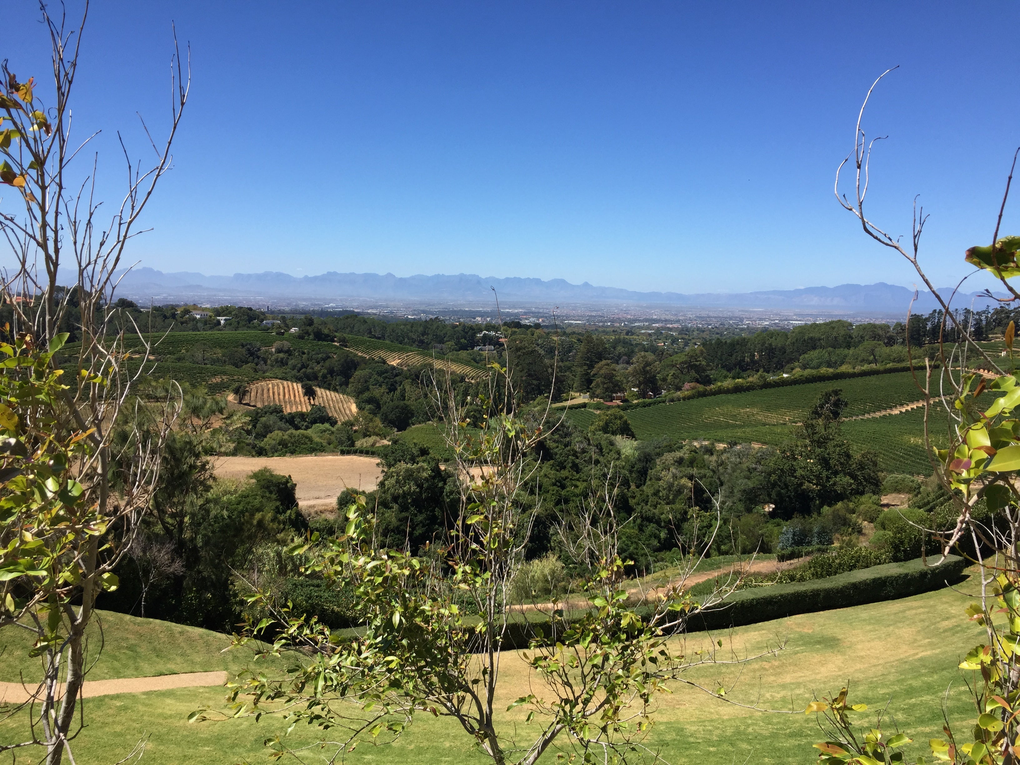 Dag 7 - Chefs Warehouse