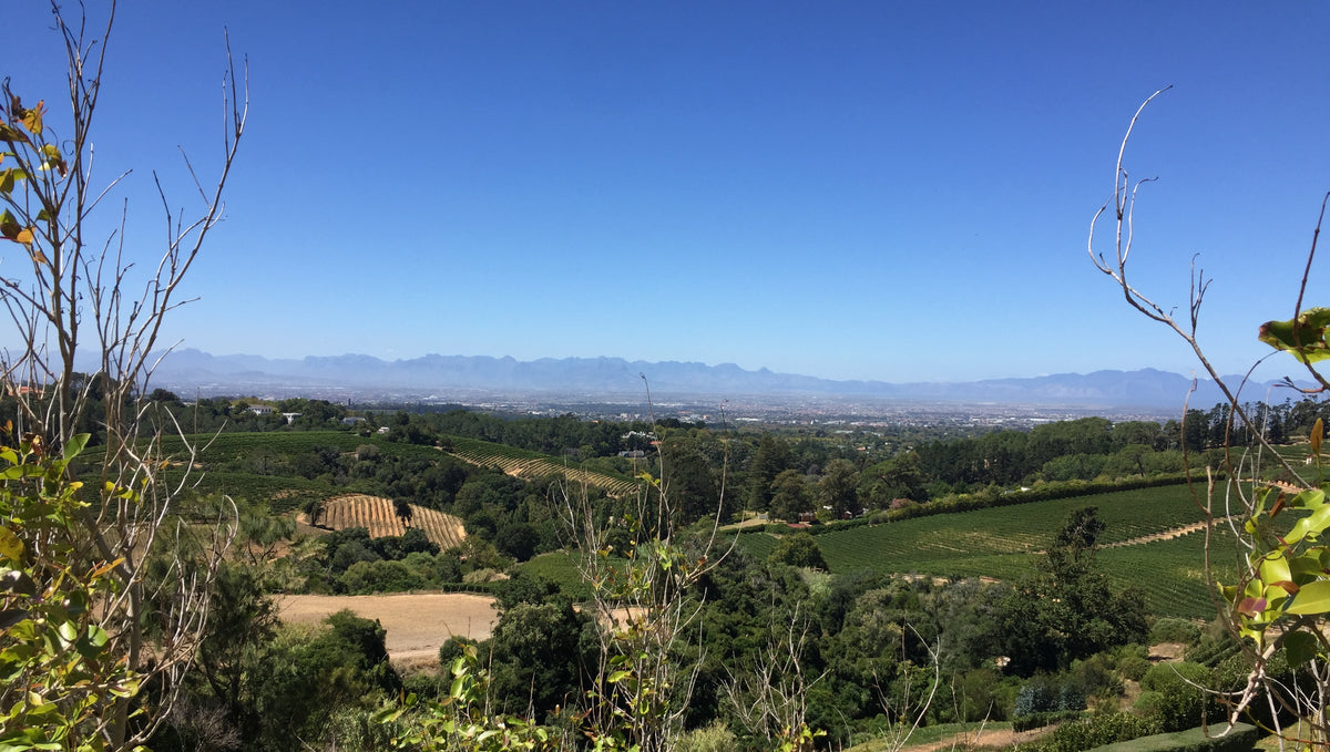 Dag 7 - Chefs Warehouse