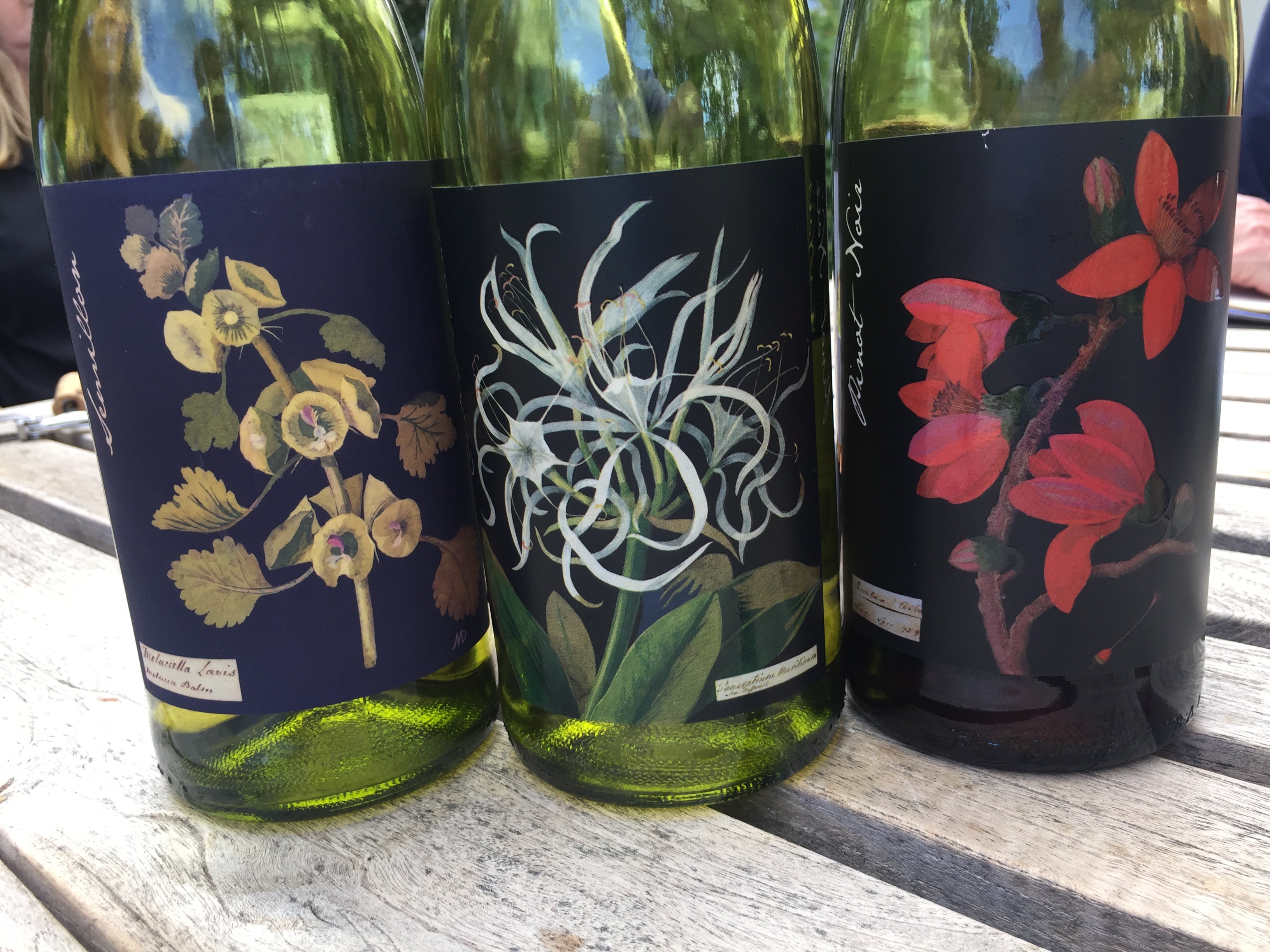 Dag 10 - Spier en Botanica