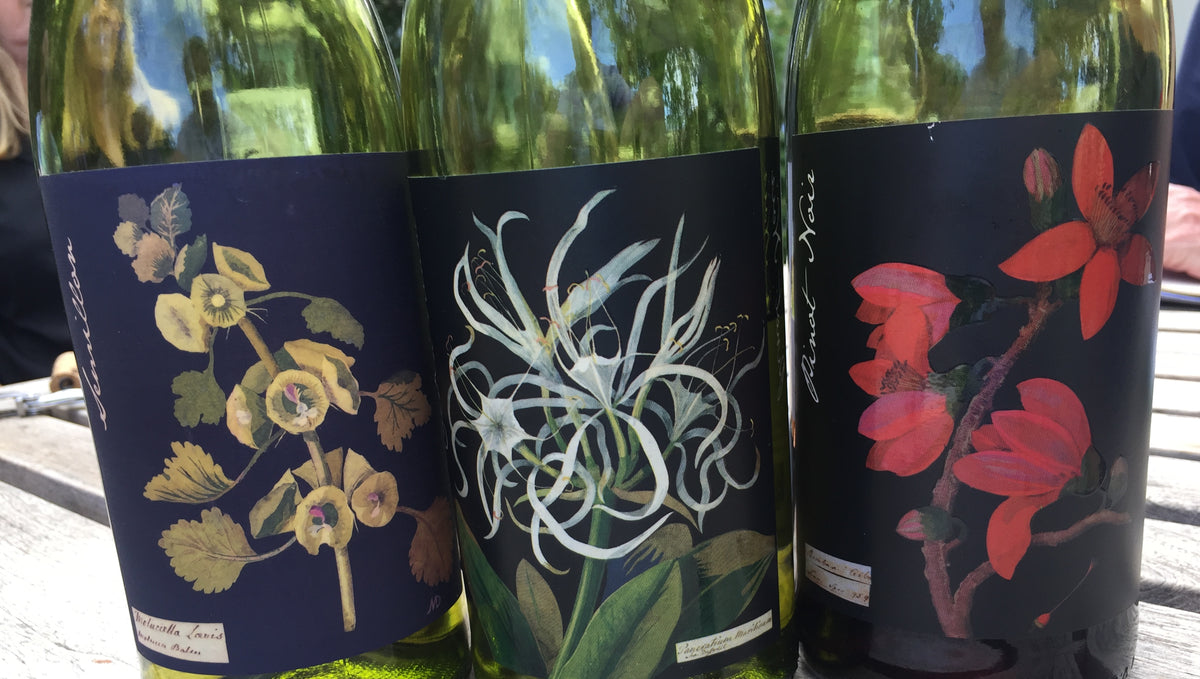 Dag 10 - Spier en Botanica