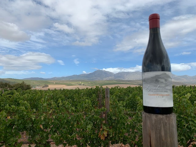 Dag 2: Gabriëlskloof