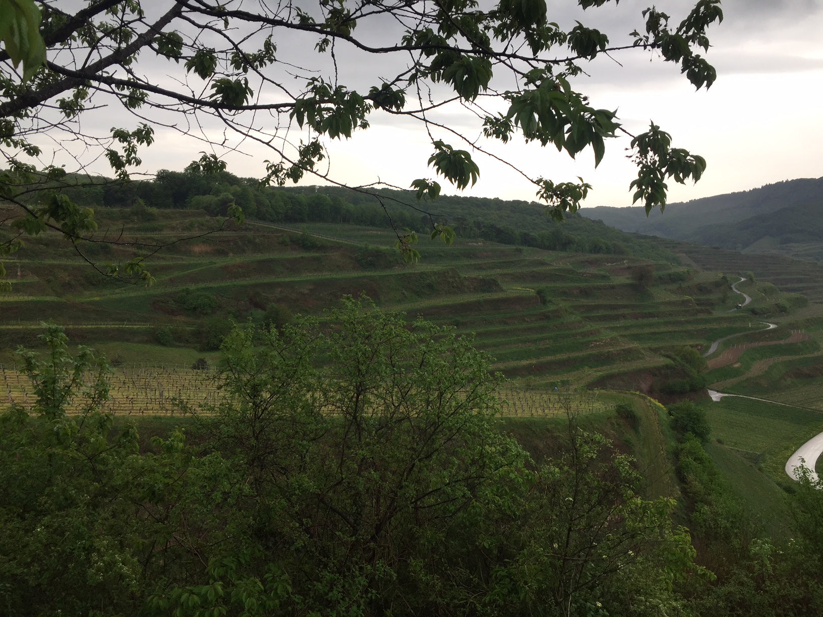 Reis Elzas, Baden en Pfalz