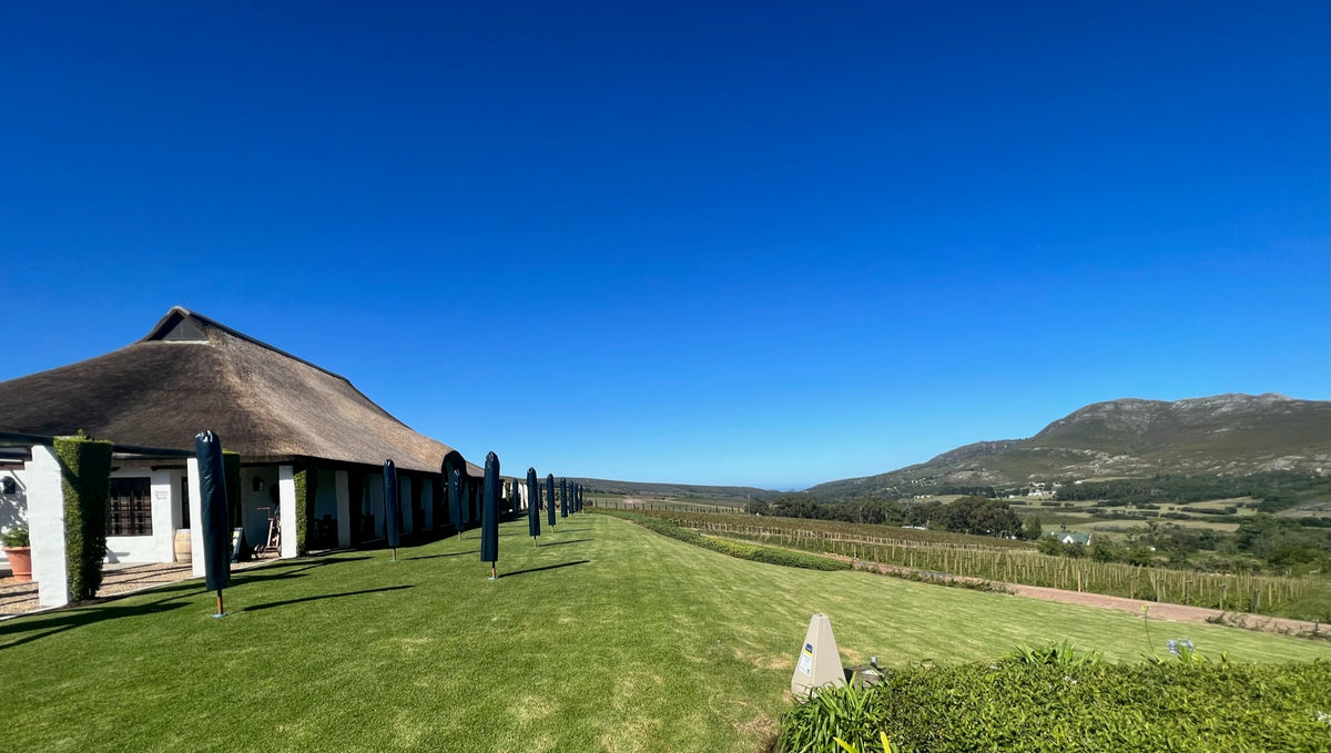 Dag 3: Bouchhard Finlayson