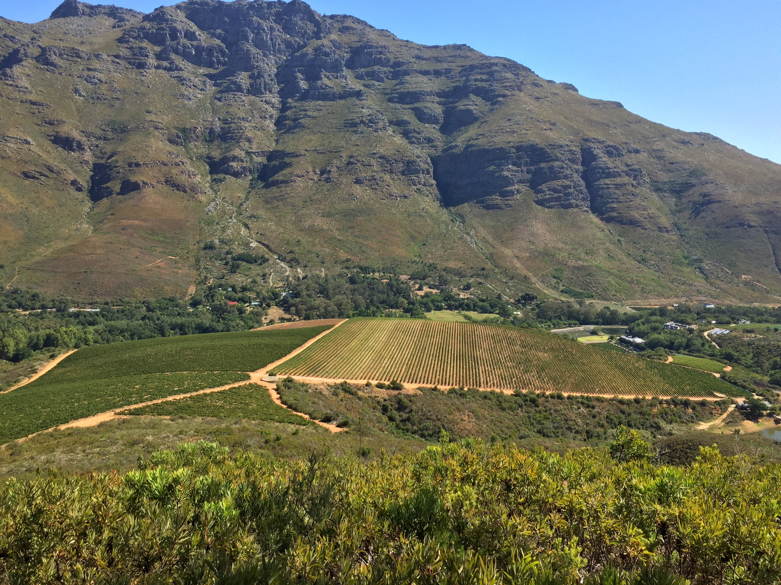 Dag 2 - Delheim / Stark Conde