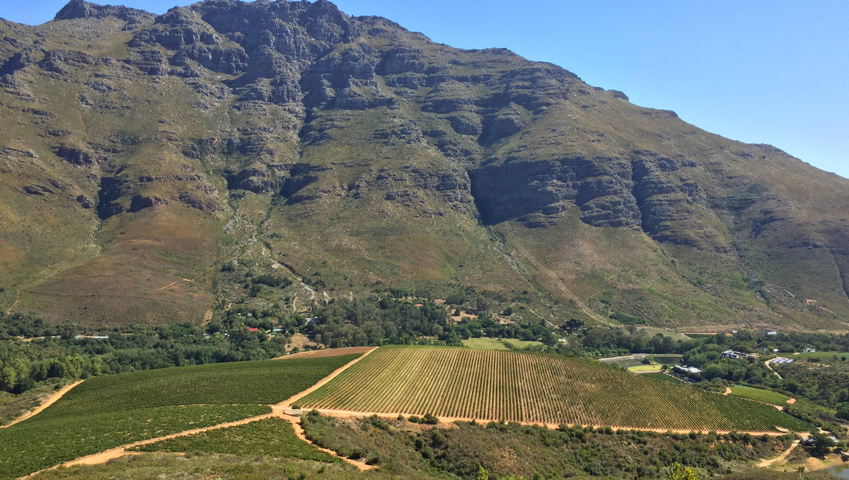 Dag 2 - Delheim / Stark Conde