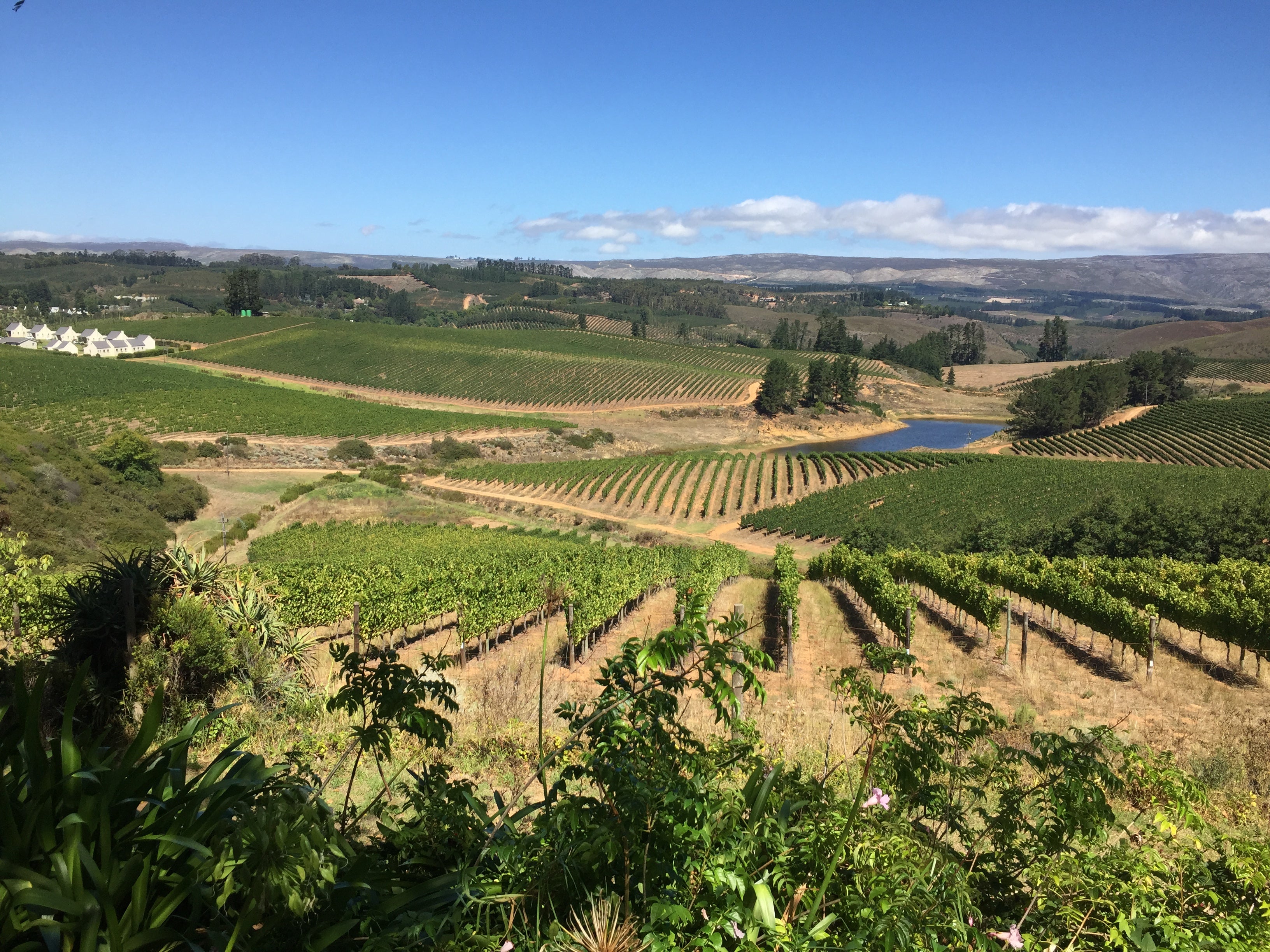 Dag 3 - Cluver en Kershaw